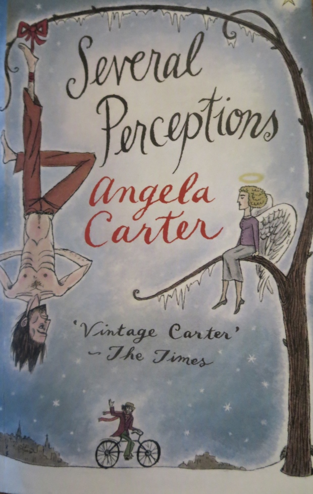 cover of the novel Several Perceptions